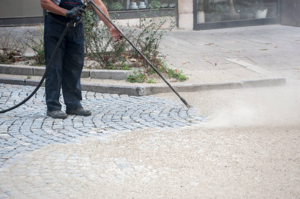 Best Pre-Holiday Cleaning  in Pasadena, TX