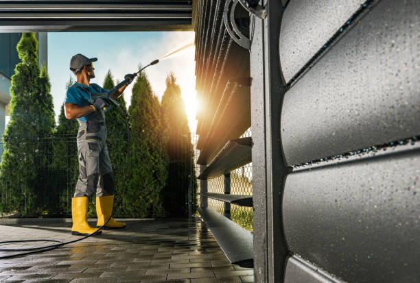 Best Building Exterior Washing  in Pasadena, TX